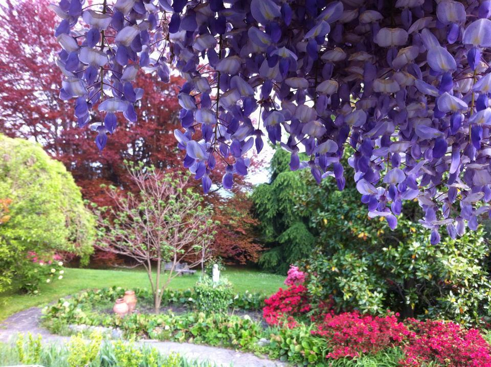 Il Giardino Di Iside Bed and Breakfast Roletto Esterno foto